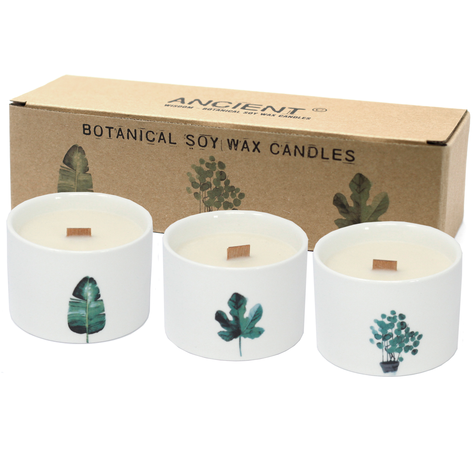 Pack of 3 Med Botanical Candles - Japanese Garden
