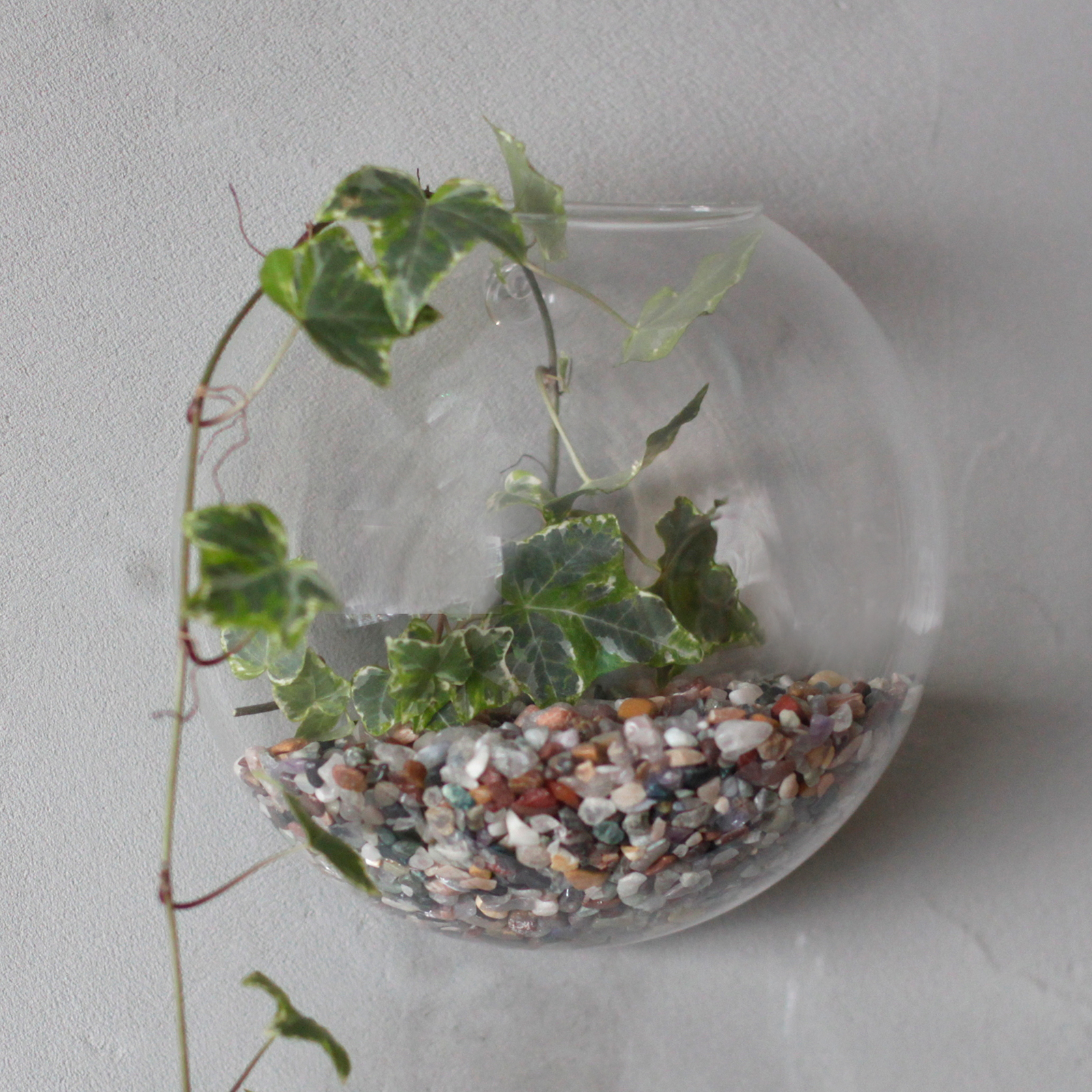 All Glass Terrarium -Small Hanging Wall Bowl