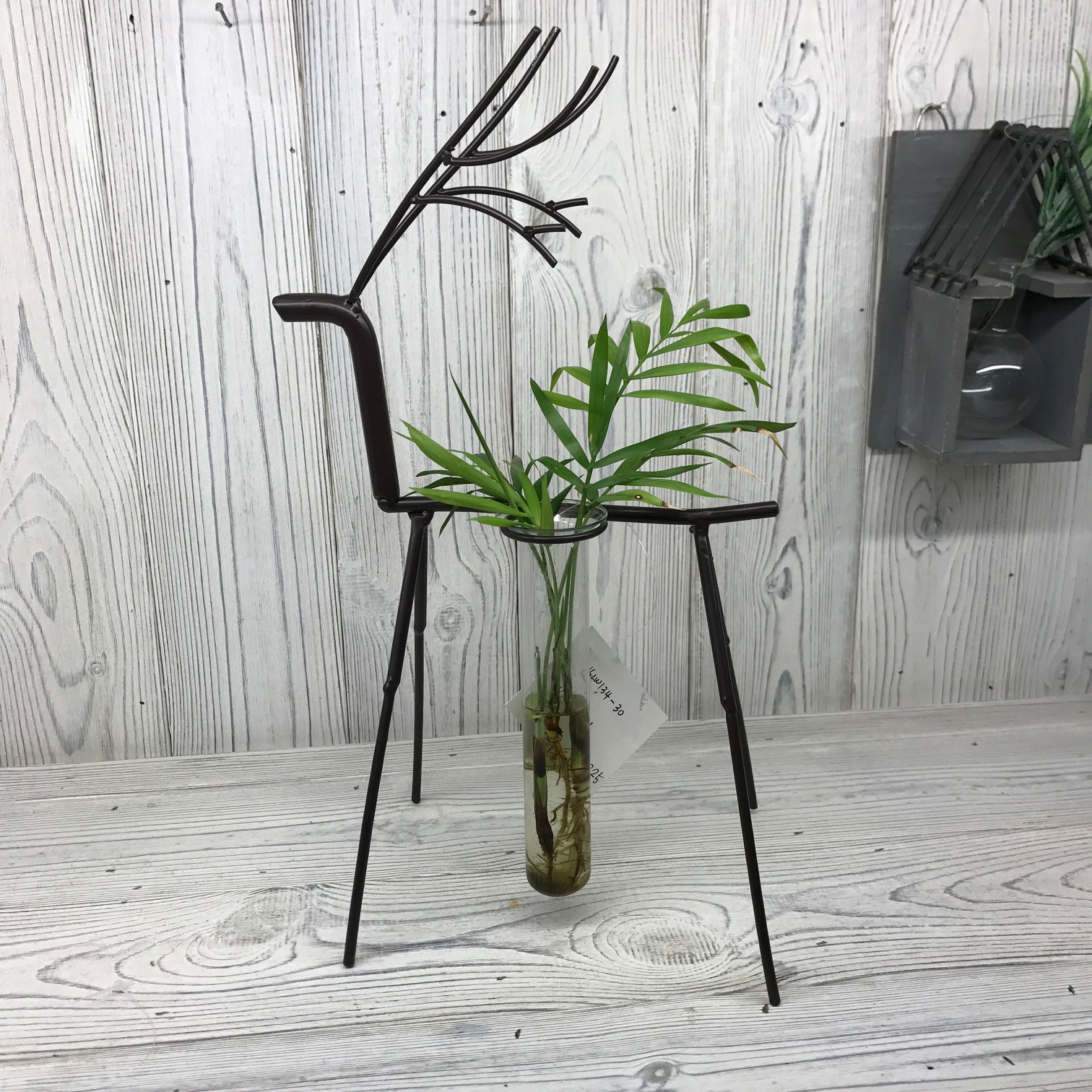 Hydroponic Home Decor - Stag One Pot Stand