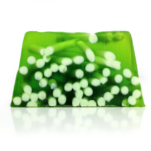 Lime & Ginger Spaghetti Soap